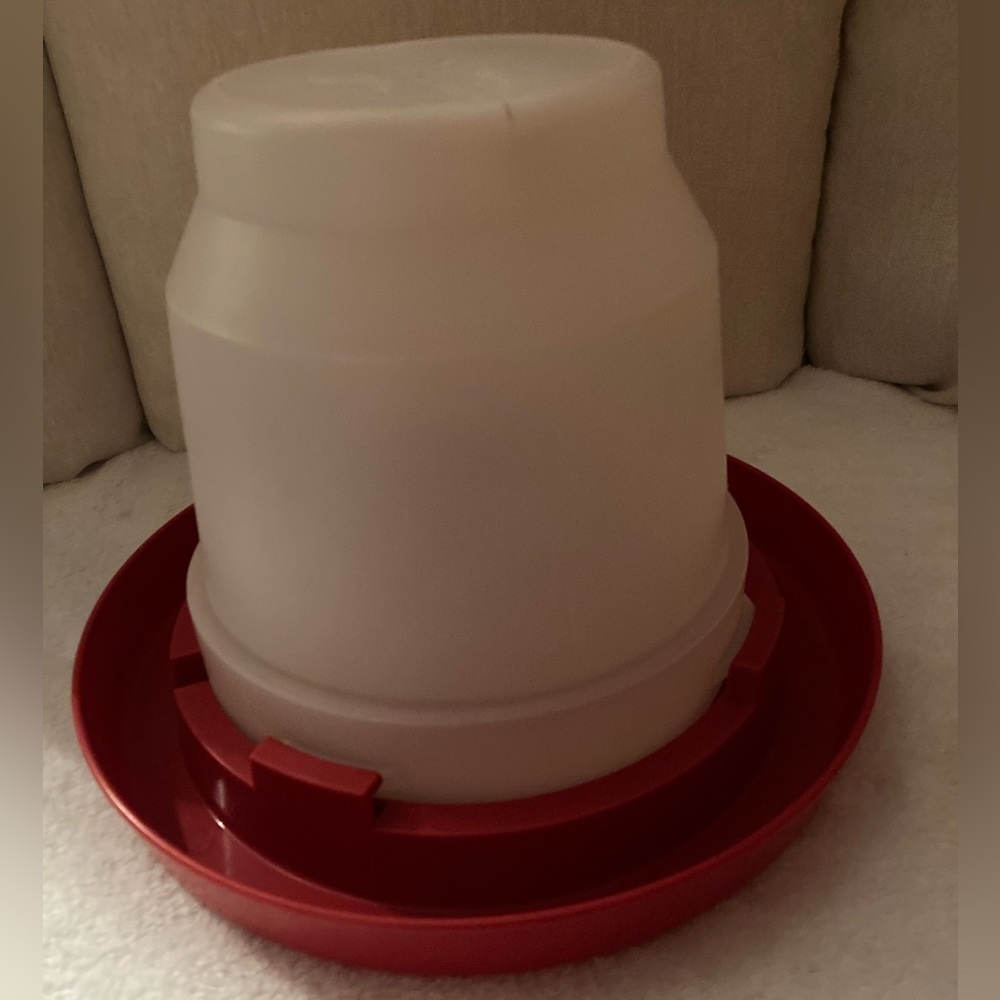 Little Giant New Chicken and Bird feeder